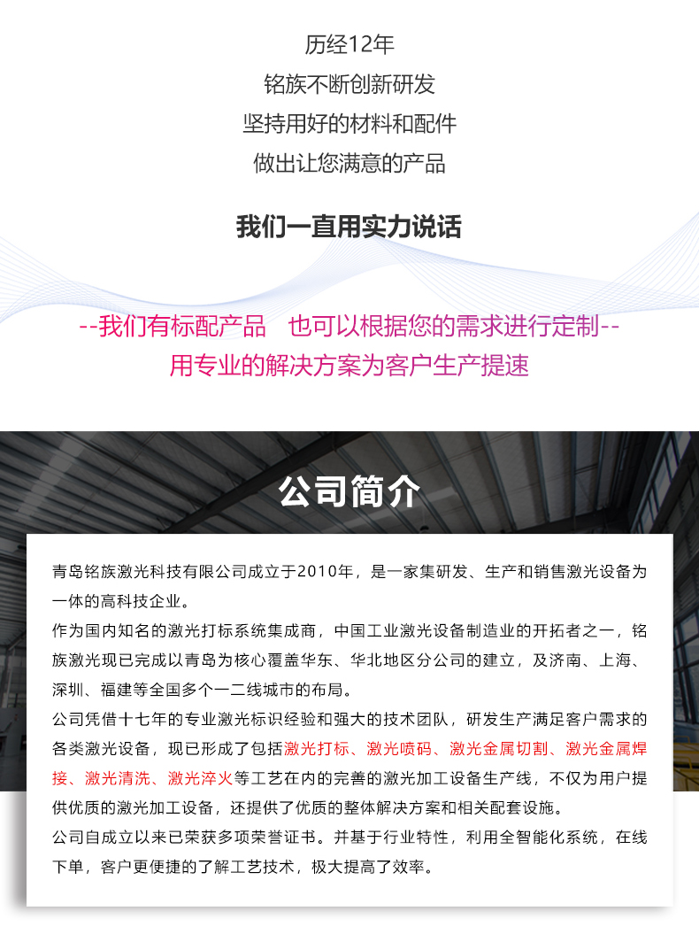 自动化配套生产线激光打标机(图8)